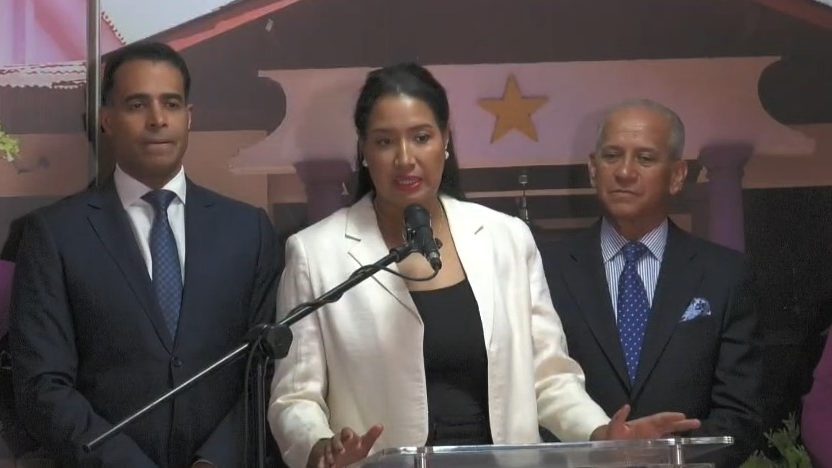 José Dantés Díaz del PLD en rueda de prensa sobre actuaciones policiales y muertes en intervenciones