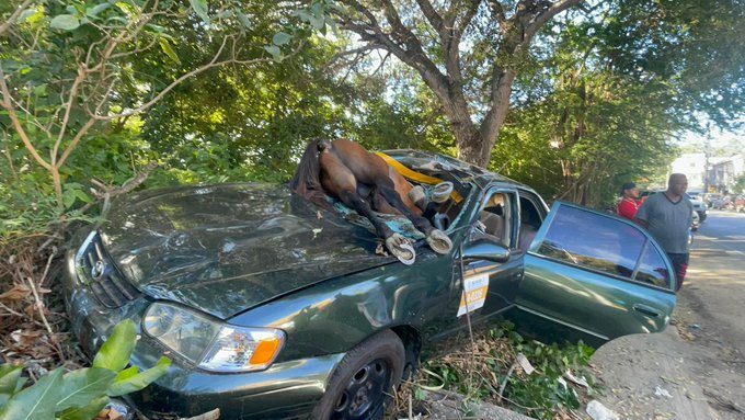 Vehículo con daños severos tras impactar contra un caballo en la carretera Jánico, cerca de La Yagüita de Pastor