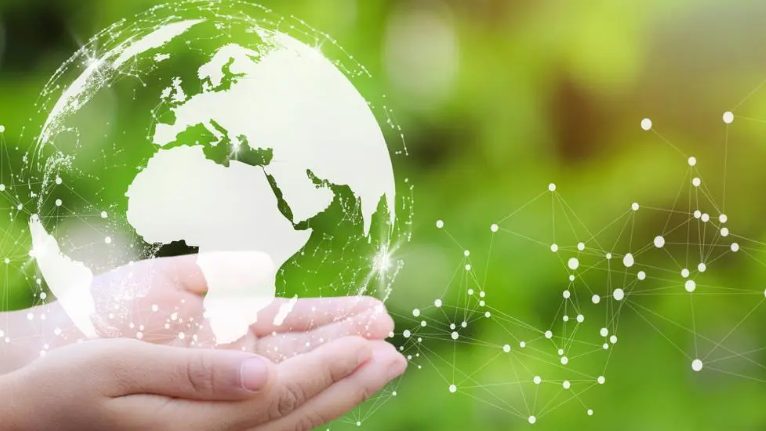 Persona recogiendo residuos en una zona verde durante el Día Mundial de la Salud Ambiental