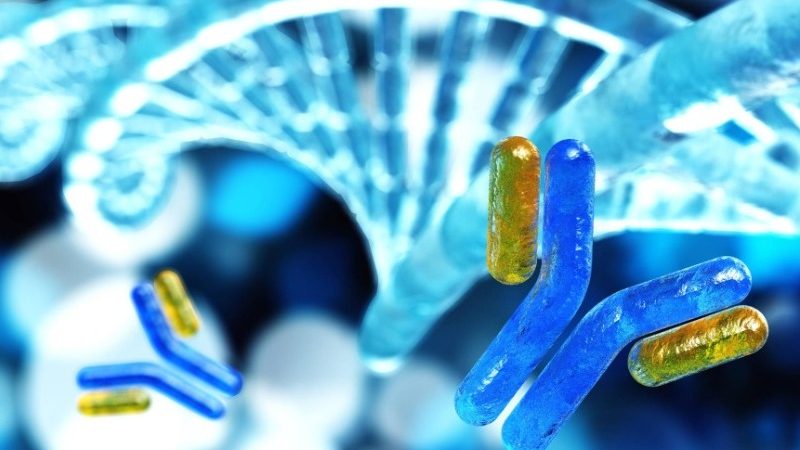 Científica observando imágenes tridimensionales de núcleos de células madre en pantalla de laboratorio