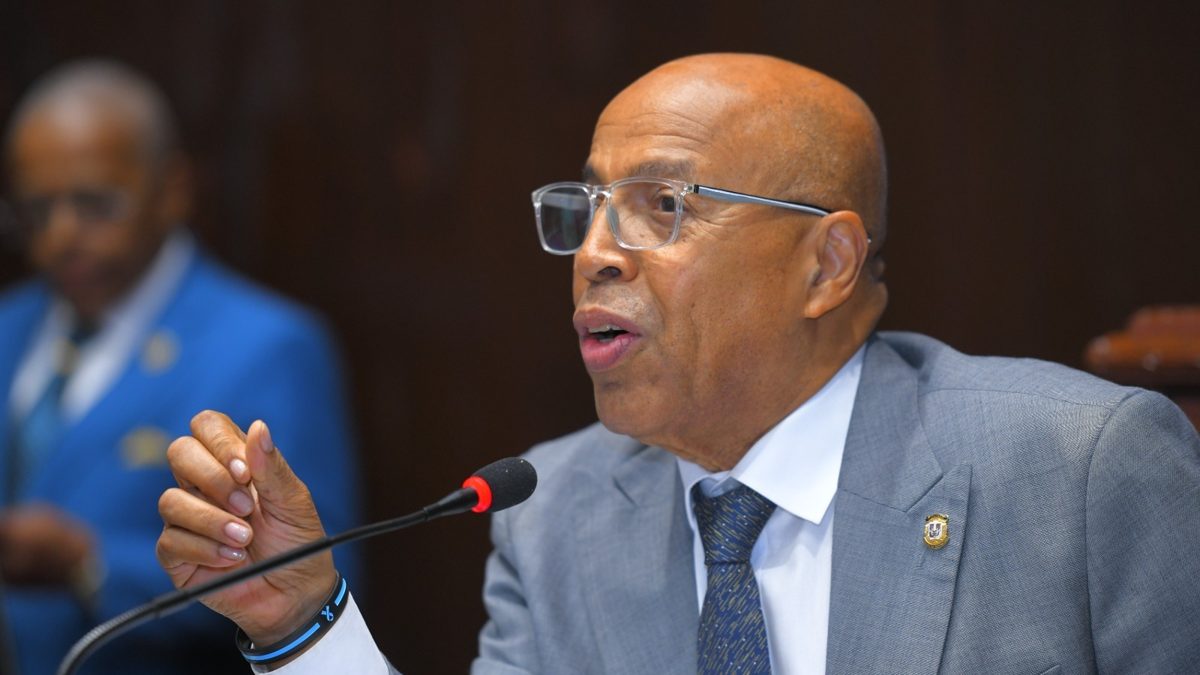 Alfredo Pacheco, presidente de la Cámara de Diputados de República Dominicana, hablando ante micrófonos