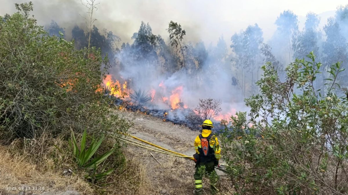Bomberos combatiendo incendio forestal en las colinas de Quito, Ecuador, con columna de humo visible