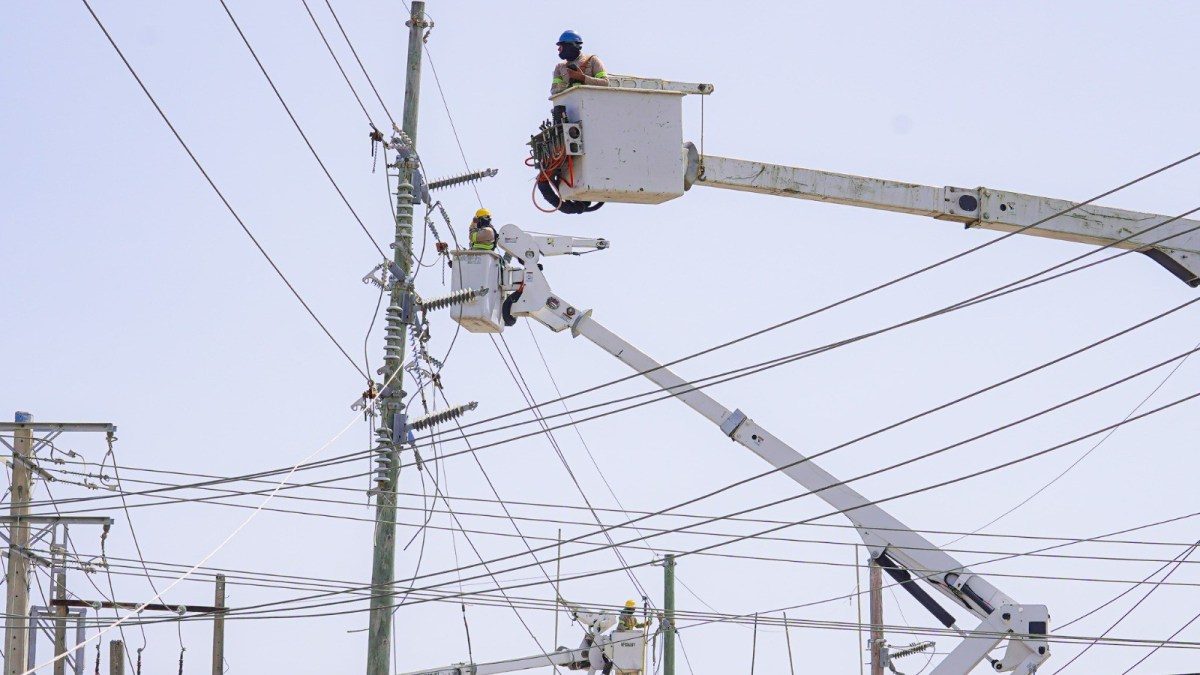 Trabajadores de la ETED en torres de transmisión eléctrica de 69 kV en República Dominicana