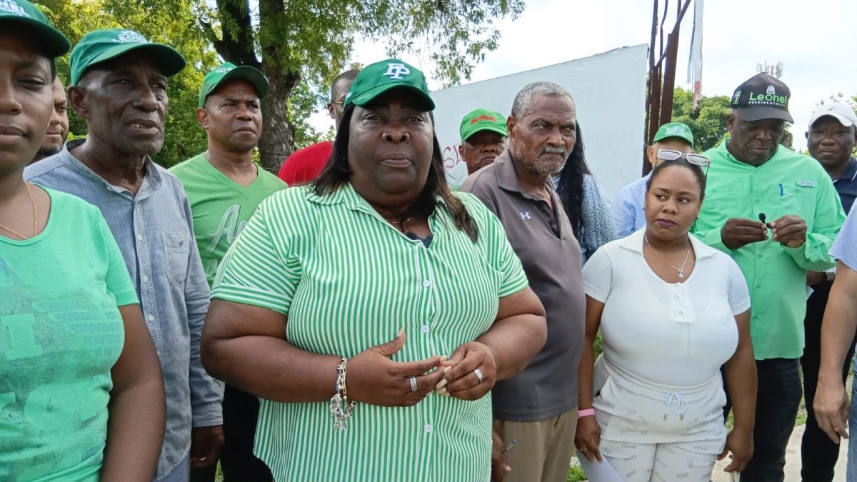 Diputada Dulce Rojas en jornada de afiliación de la Fuerza del Pueblo en Haras Nacionales, Santo Domingo Norte