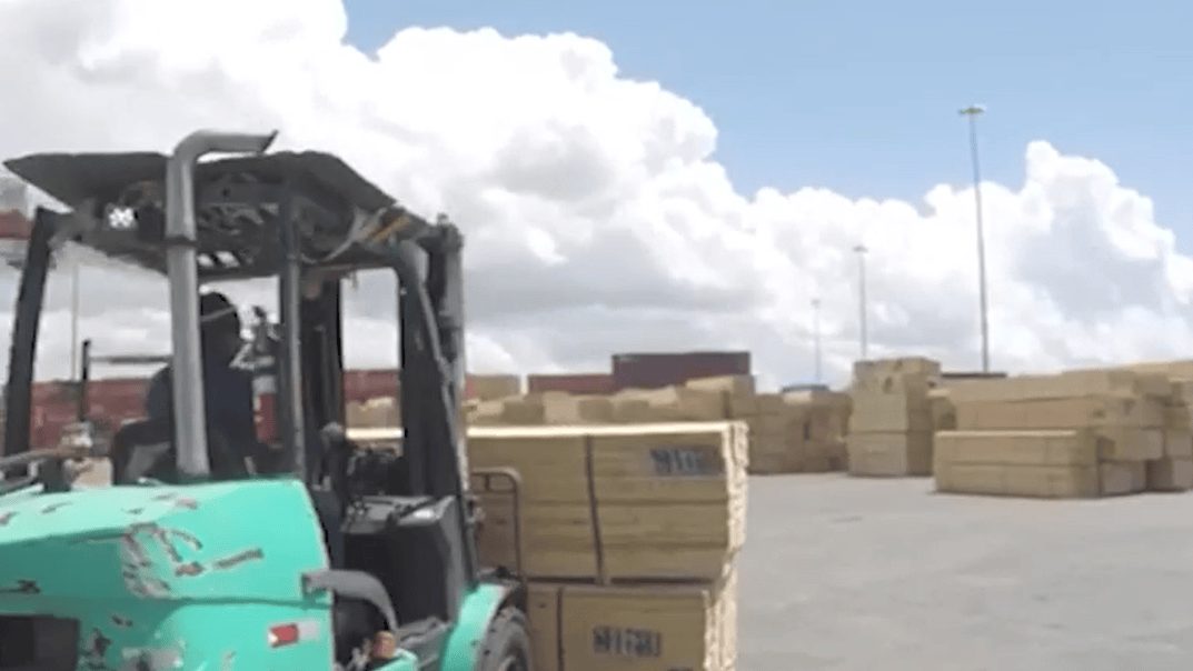 Director de Aduanas Nelson Arroyo durante anuncio de nuevos controles de mercancías en tránsito hacia Haití