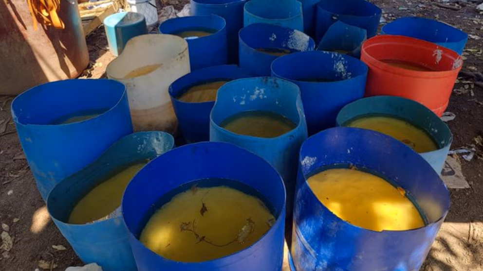 Fuerzas federales mexicanas junto a paquetes de metanfetamina decomisada en laboratorio clandestino de Sinaloa