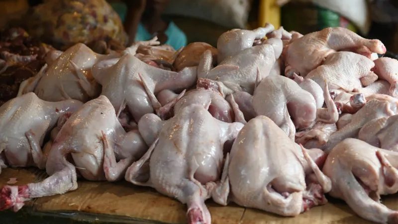Pollos en vitrina de supermercado dominicano con etiquetas de precio en pesos