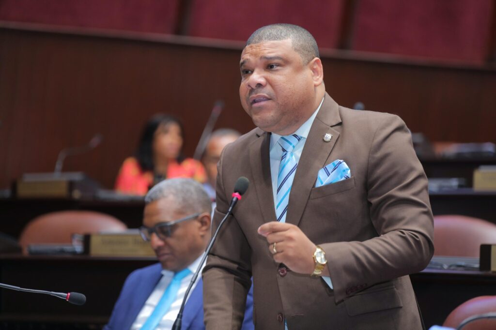 El diputado Ramón Raposo del PRD hablando sobre la modificación del Código Penal dominicano