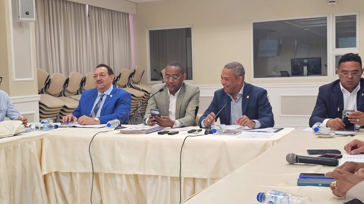 Diputado Carlos Sánchez habla ante la comisión bicameral sobre la reforma policial en el Congreso Nacional de República Dominicana