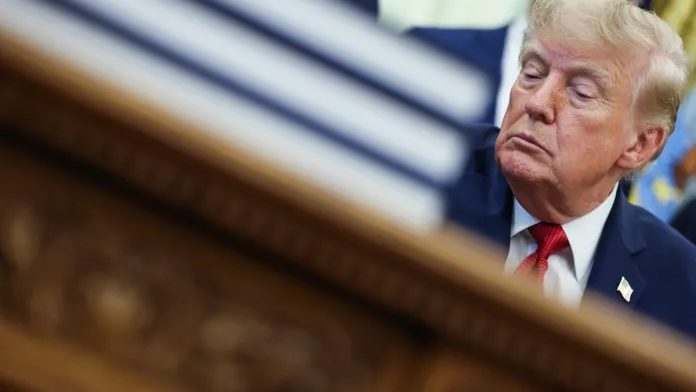 Donald Trump mirando de perfil un globo terráqueo que muestra Groenlandia y el Ártico, con la leyenda Su hemisferio